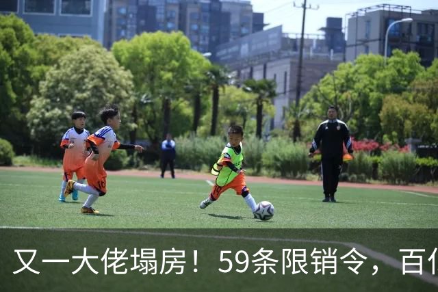 又一大佬塌房！59条限销令，百亿帝国成一地碎片，央视一姐不忍了