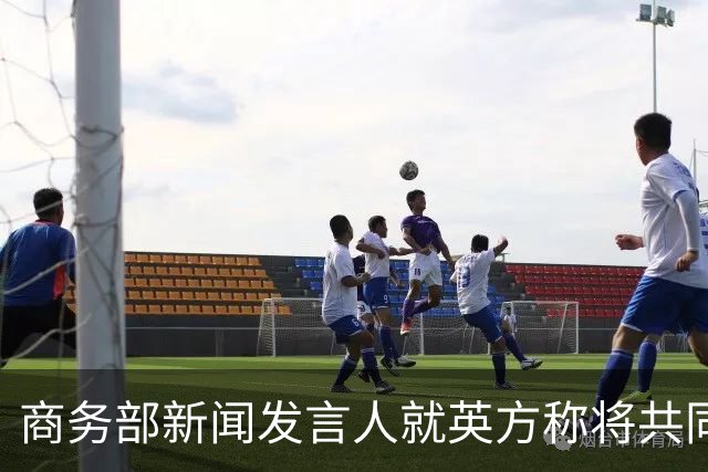 商务部新闻发言人就英方称将共同应对中国汽车产业占主导地位事答记者问