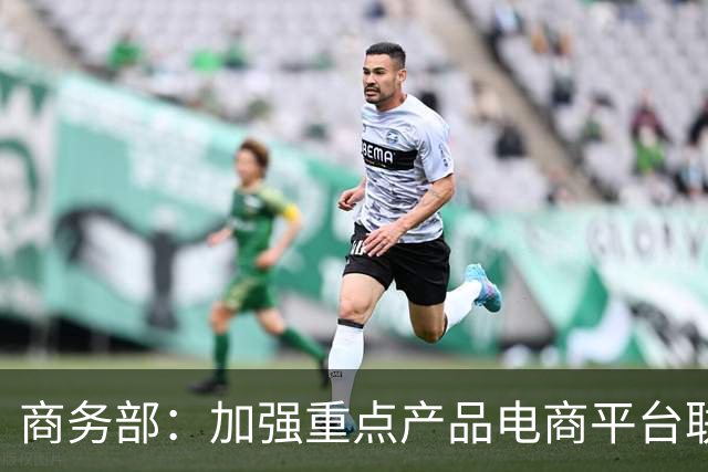 商务部：加强重点产品电商平台联网核查
