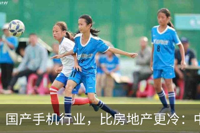 国产手机行业，比房地产更冷：中低端手机涨价，消费者用脚投票